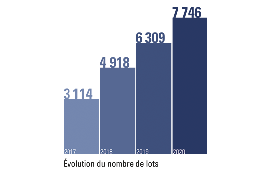 Syndic de copropriété : nombre de lots de 2017 à 2020 - Calots & Associés